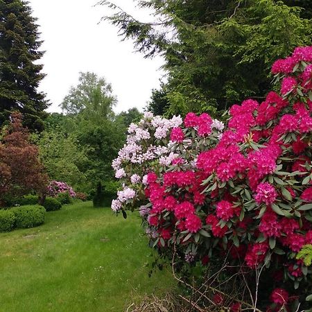 Ferienwohnung Gartenblick Worpswede Eksteriør bilde